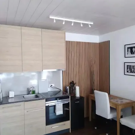 Boutique Penthouse Terrace In Juraparc Wil (Aargau)