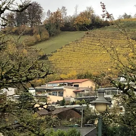 别墅 Boutique Penthouse Terrace In Juraparc