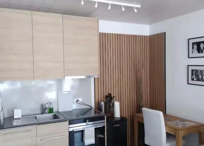 Boutique Penthouse Terrace In Juraparc Wil (Aargau)